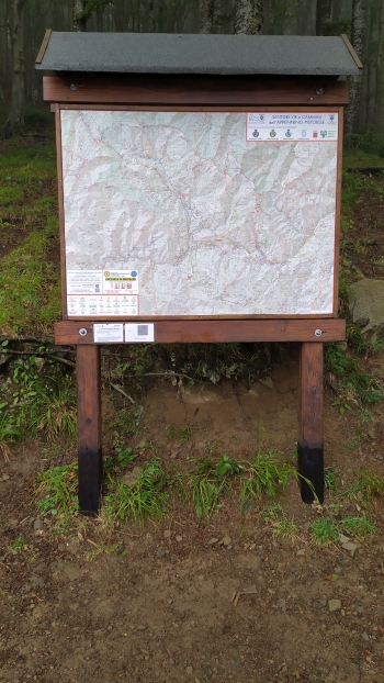 qrcode montanaro 03